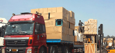 成人91短视频圖片